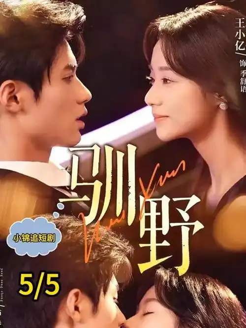 单人间恋曲 短剧海报